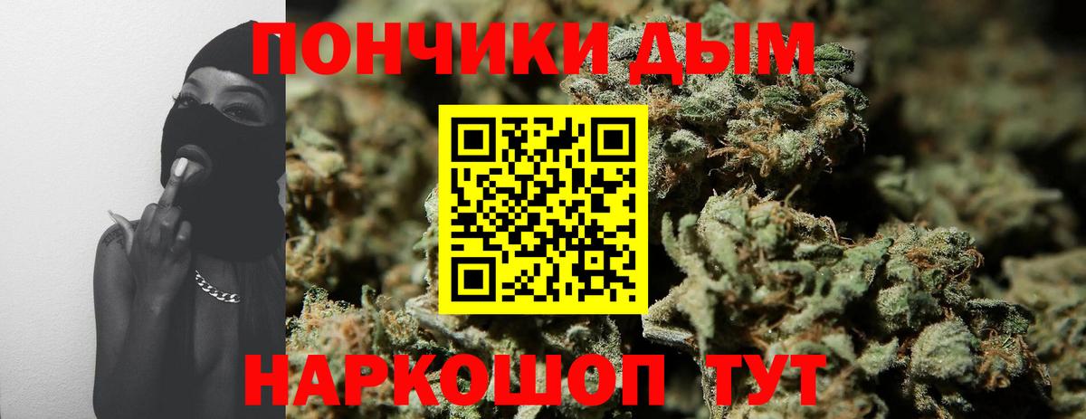 Канабис конопля Минеральные Воды
